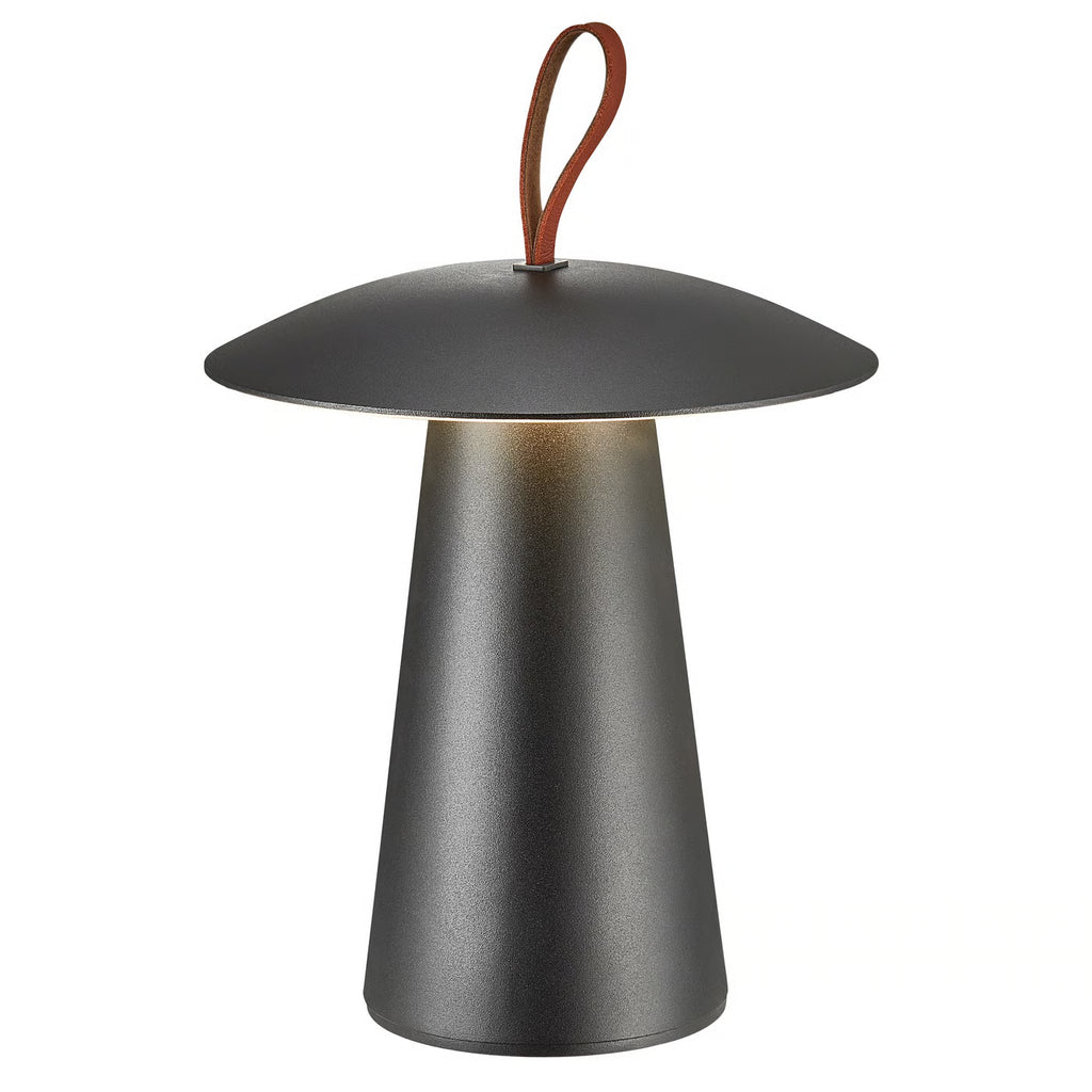 Ara To-Go 2 Battery light Black