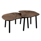 TAMPA ORGANIC COFFEE TABLE SET OF 2