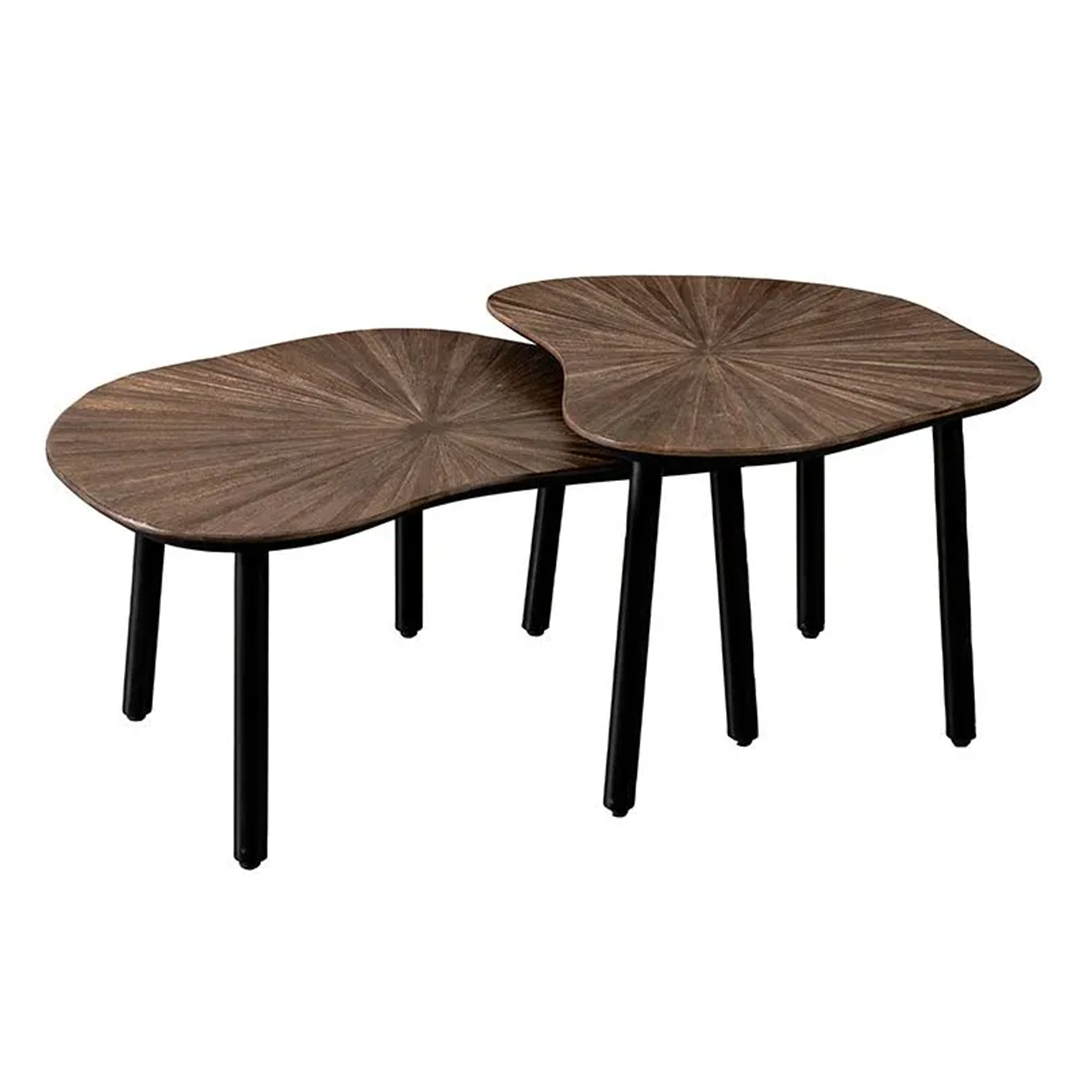 TAMPA ORGANIC COFFEE TABLE SET OF 2