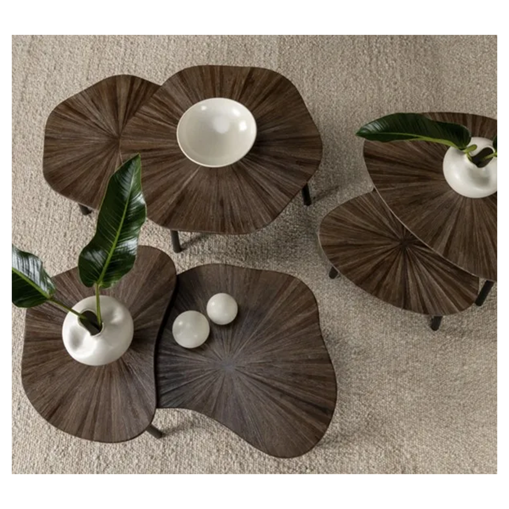 TAMPA ORGANIC COFFEE TABLE SET OF 2