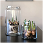 sögne paula glasskrukke 22 cm