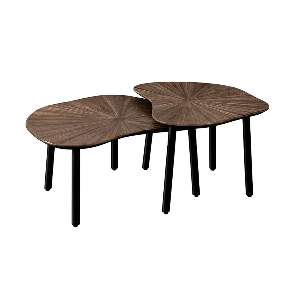 TAMPA ORGANIC COFFEE TABLE SET OF 2